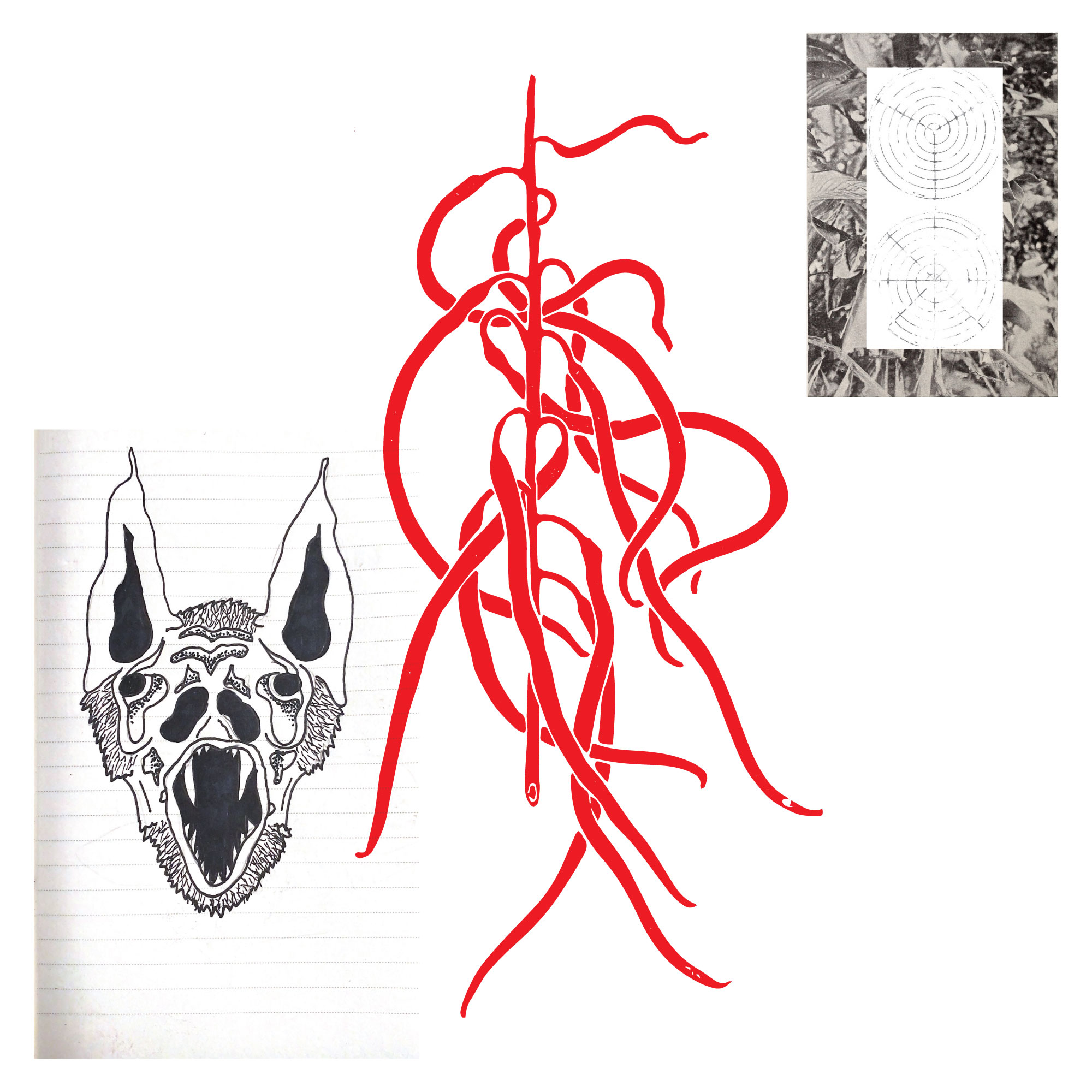 Catto Went For A Walk