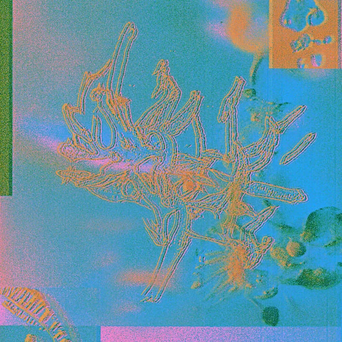 Capsule